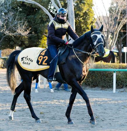 　逃げ切りで２連勝中のジェネラーレウーノ