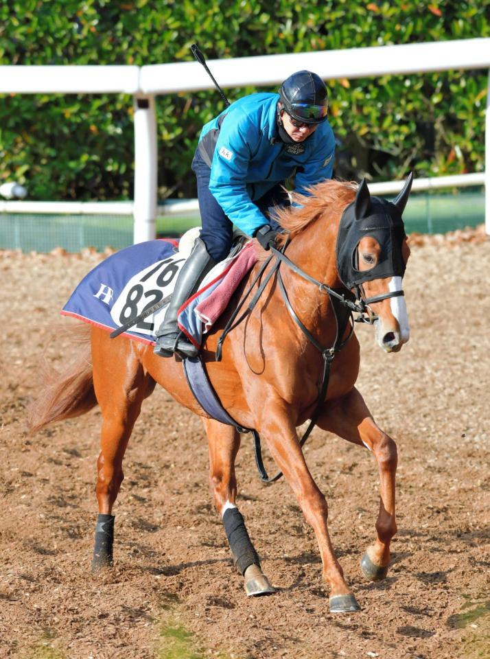 　藤原英厩舎の秘密兵器パフォーマプロミス