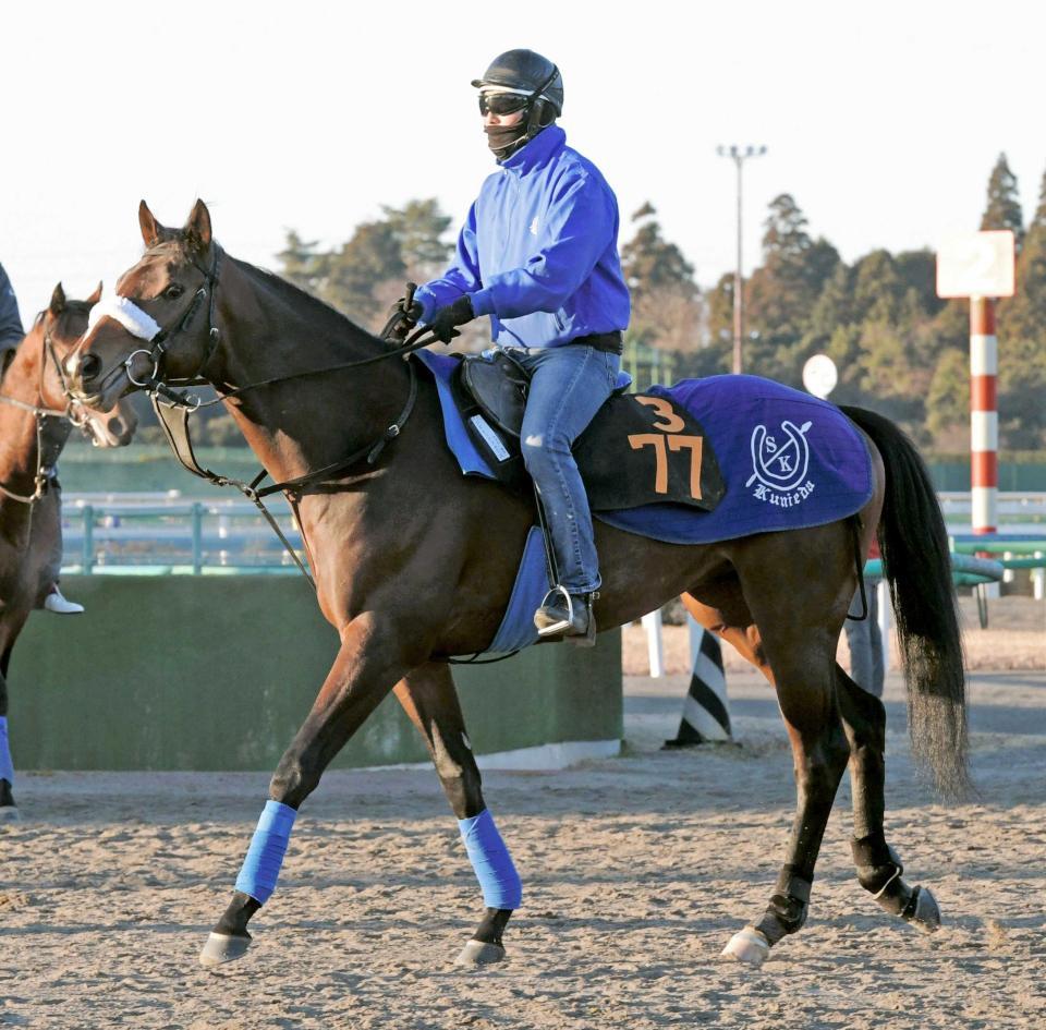 　国枝厩舎が２週連続重賞Ｖを狙い送り出すコズミックフォース