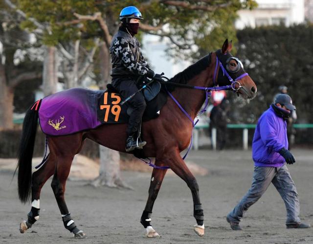 ｐｏｇ パルクデラモールいざ出陣 母はペルー年度代表馬の良血馬 競馬 レース デイリースポーツ Online