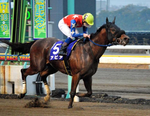 【南関東競馬】アピアが重賞２勝目　直線抜け出して船橋記念を制す