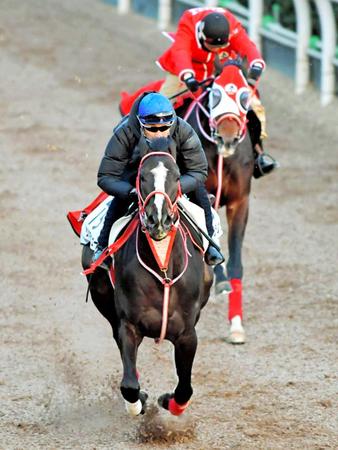 　栗東坂路で一番時計をたたき出したリスグラシュー（撮影・石湯恒介）