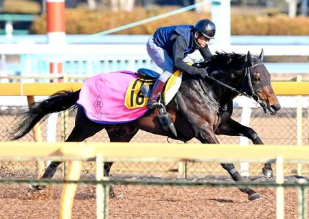 　得意の東京で雪辱だ。美浦Ｗで追われたダイワキャグニー