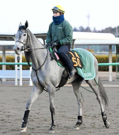 　藤沢和厩舎が今年の牝馬クラシック戦線に送り込むアルーシャ