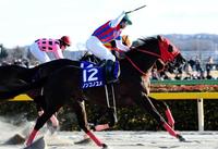フェブラリーS】セン馬になってよかった！ノンコノユメが悲願のJRA