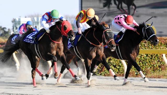 フェブラリーS】セン馬になってよかった！ノンコノユメが悲願のJRA