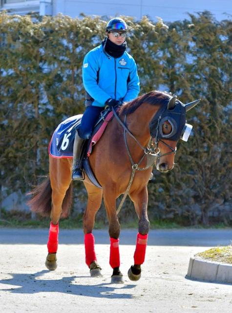 【チューリップ賞】シグナライズ巻き返す　落ち着き十分、一発態勢整った