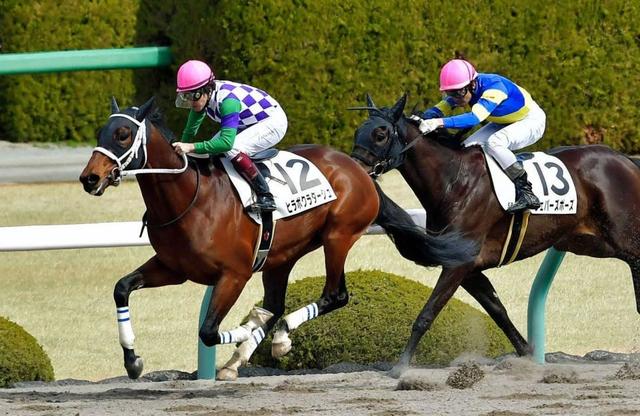 【ＰＯＧ】ヒラボクラターシュ力強く伸び快勝「初戦としては１００点に近い」