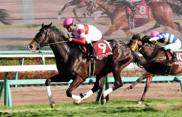 【弥生賞】無傷４連勝！ダノンプレミアムが無敗馬対決制す