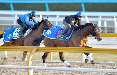 　２馬身先着を果たしたサトノダイヤモンド