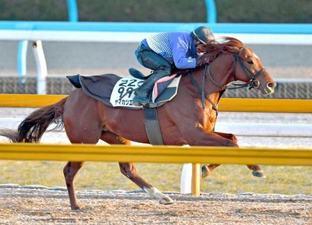 　金鯱賞３連勝を狙うヤマカツエース