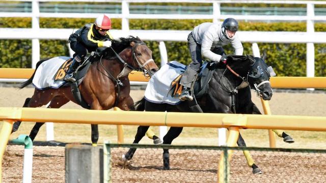 【フィリーズＲ】モルトアレグロ反応抜群　状態面はさらに上昇