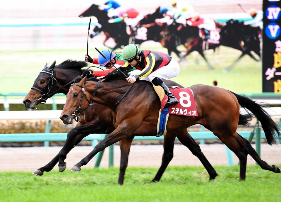 　接戦を制したステルヴィオ（手前）