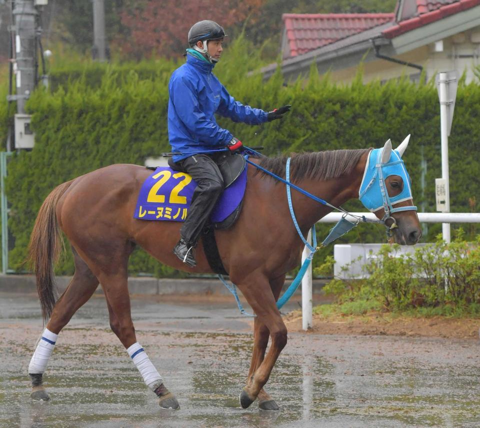 　スプリントＧ１に初挑戦するレーヌミノル