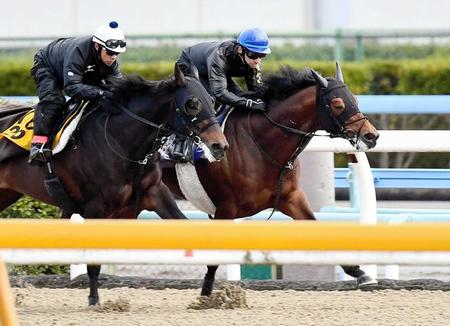 　きっちり併入を決めたミッキースワロー（右）