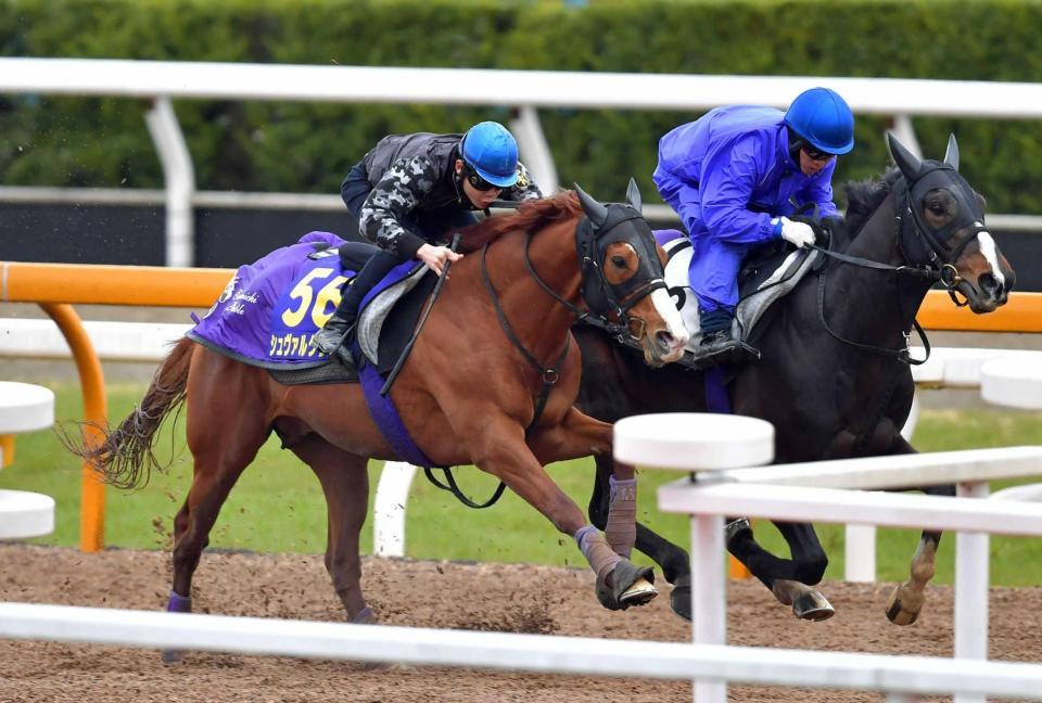 　三浦を背に上々の動きを見せたシュヴァルグラン（左）