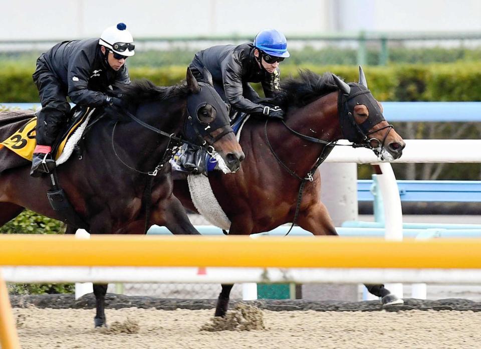 　きっちり併入を決めたミッキースワロー（右）