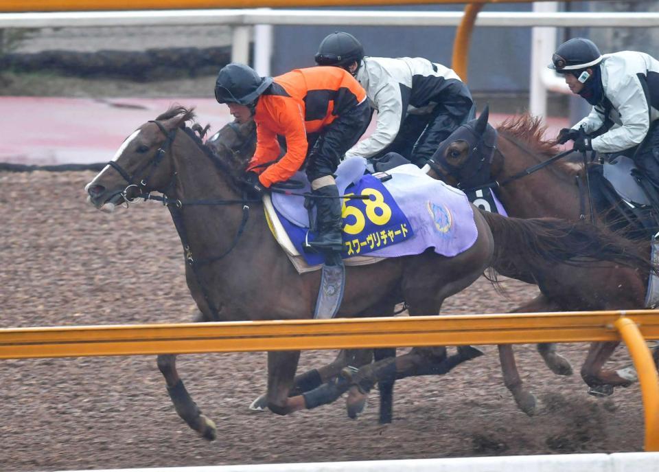 　栗東ＣＷで順調な調整ぶりを見せるスワーヴリチャード