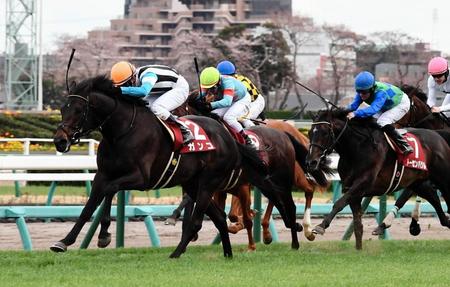 １１Ｒ、日経賞を制したガンコ（左）＝中山競馬場（撮影・園田高夫）