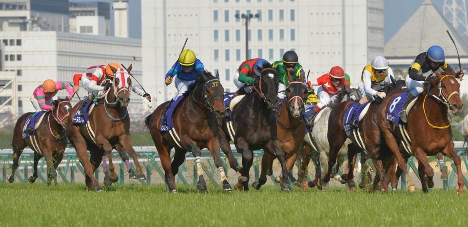 　直線で一気に加速し優勝したファインニードル（左から３頭目）