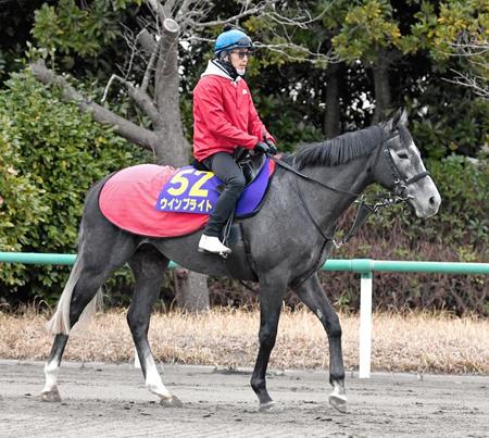 　初のＧ１タイトル奪取を狙うウインブライト