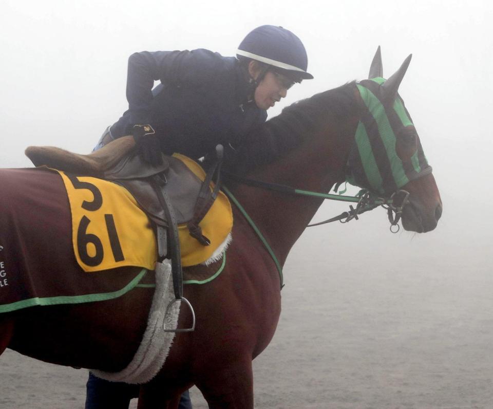 　田辺騎手に乗り替わるグレーターロンドン