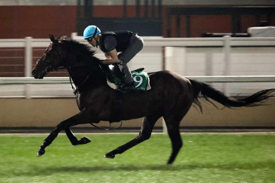 　レイデオロはルメールを背に手応え十分の動きを見せた