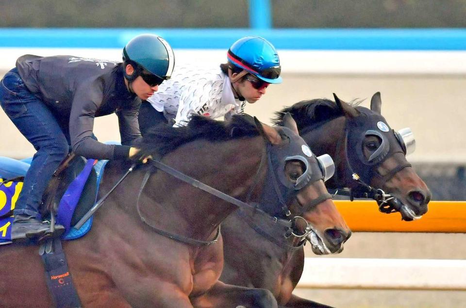 　栗東ＣＷで併せて追い切るペルシアンナイト（右）とアルアイン