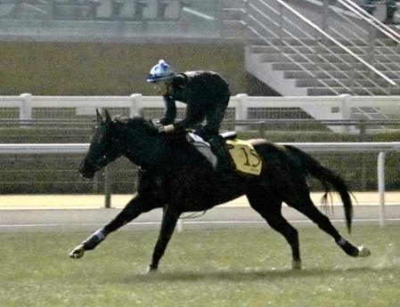 　連覇を狙うヴィブロス