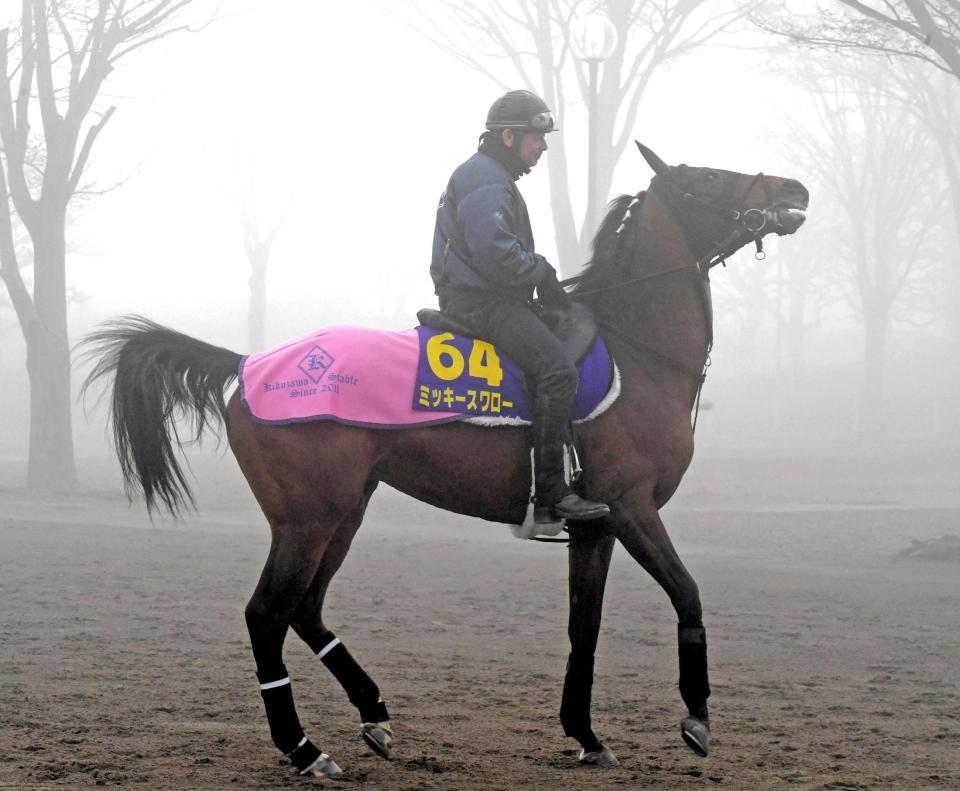 　Ｇ１初戴冠を狙うミッキースワロー