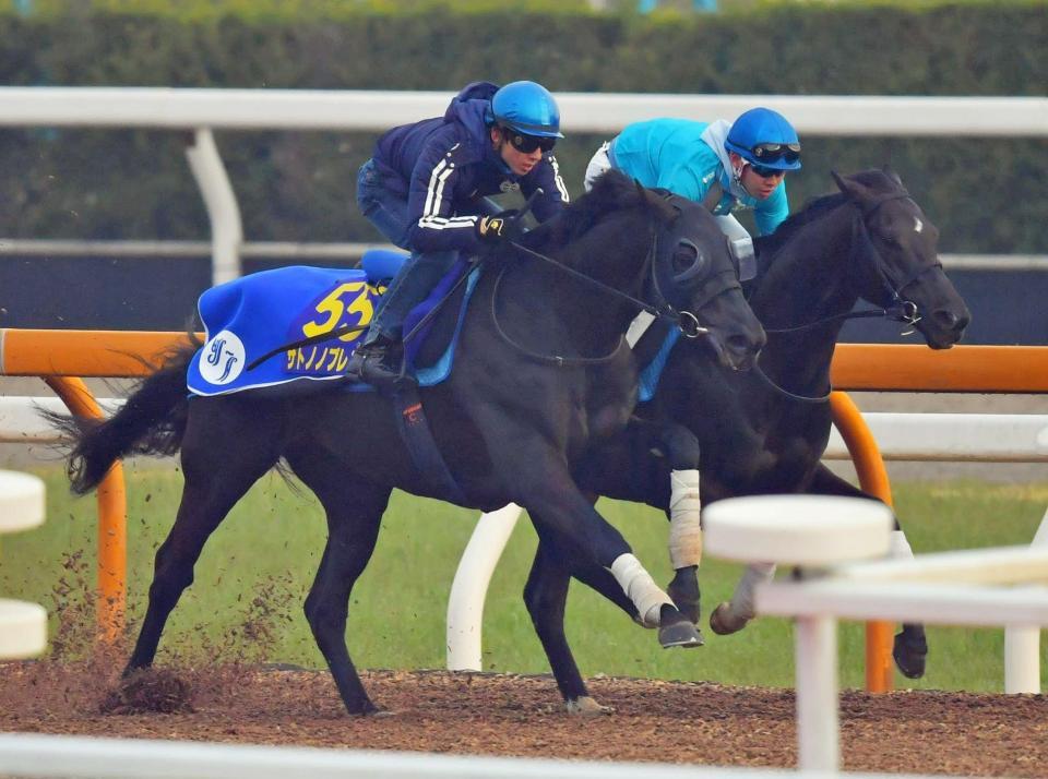 　サトノノブレス