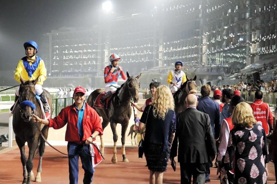 　６着に敗れ、引き揚げてくるアウォーディー（中央）