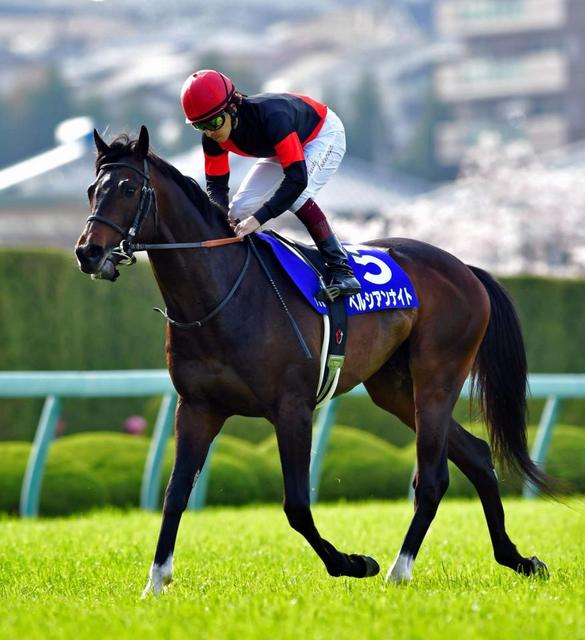 大阪杯】ペルシアンナイト2着 勝ち馬に脱帽「手も足も出ませんでした