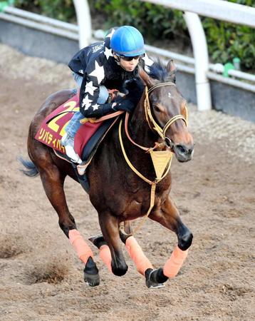 　栗東坂路で追い切るリバティハイツ