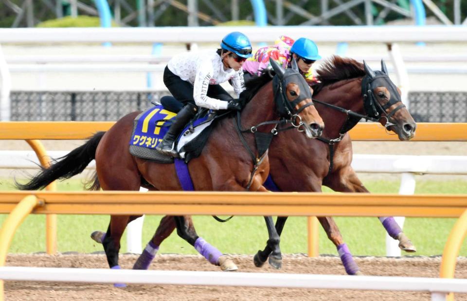 　パートナーに首差先着を決めたワグネリアン（手前）