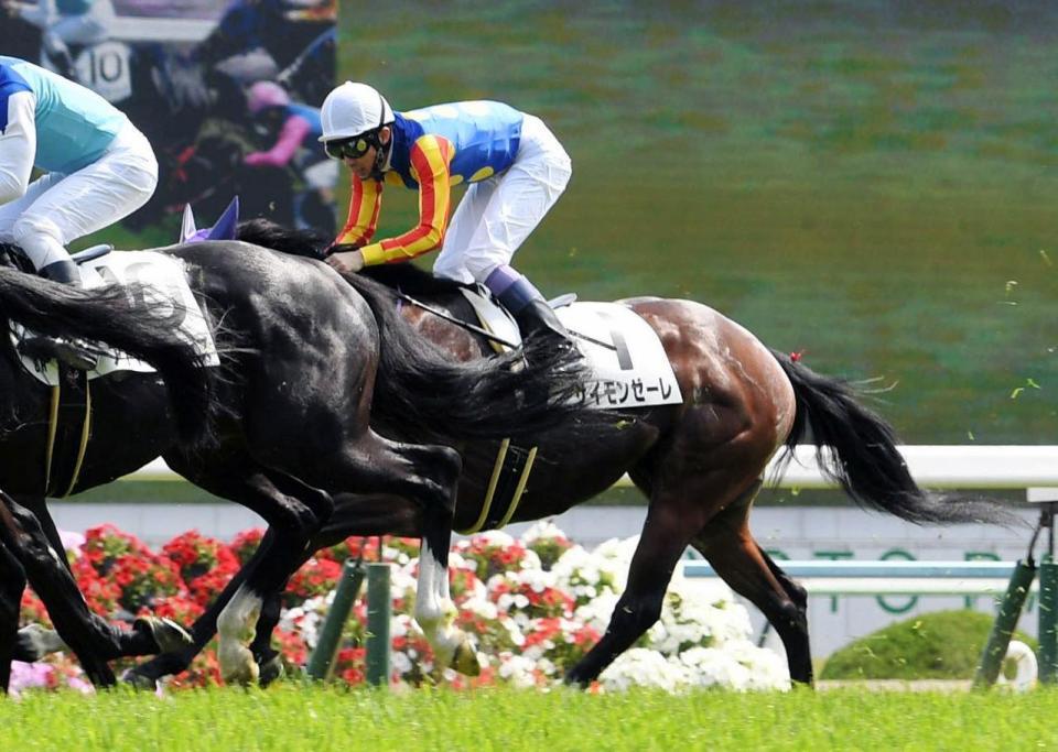 　８Ｒゴール前、サイモンゼーレ鞍上の武豊