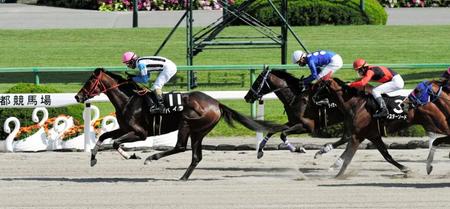 　端午ステークスを制したバイラ（左）