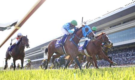 　内を突いて天皇賞を制したレインボーライン（中央）。右から２頭目は２着のシュヴァルグラン