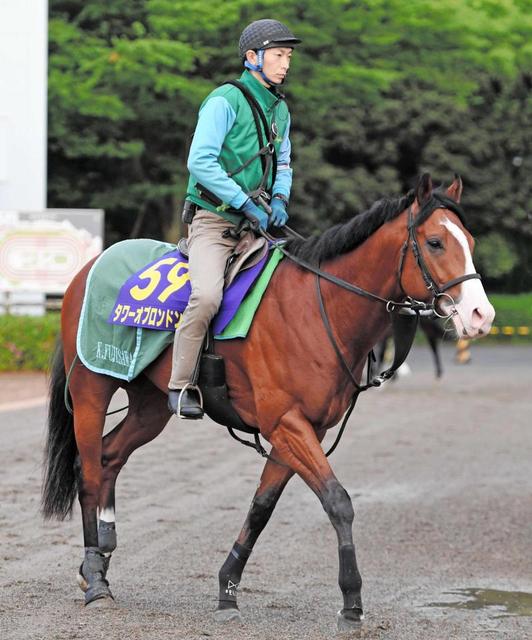 【ＮＨＫマイルＣ】タワーオブロンドン、距離問題ない　てっぺん獲って英国挑戦だ