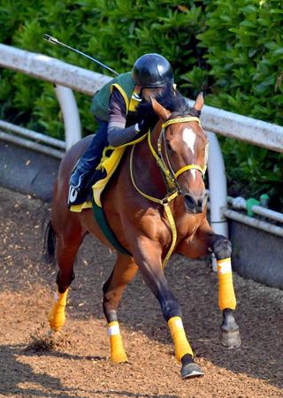 　栗東坂路で火曜追いを行ったレイエスプランドル