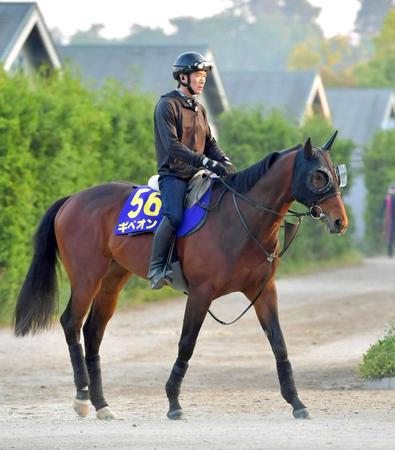 　運動するギベオン