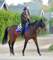 　運動するギベオン