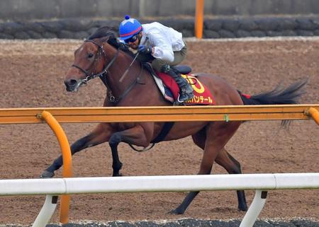 　栗東ＣＷで追い切るミスパンテール