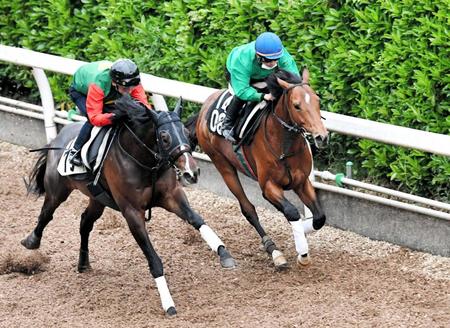 　賞金加算が最低条件。栗東坂路で追い切ったフランツ（右）