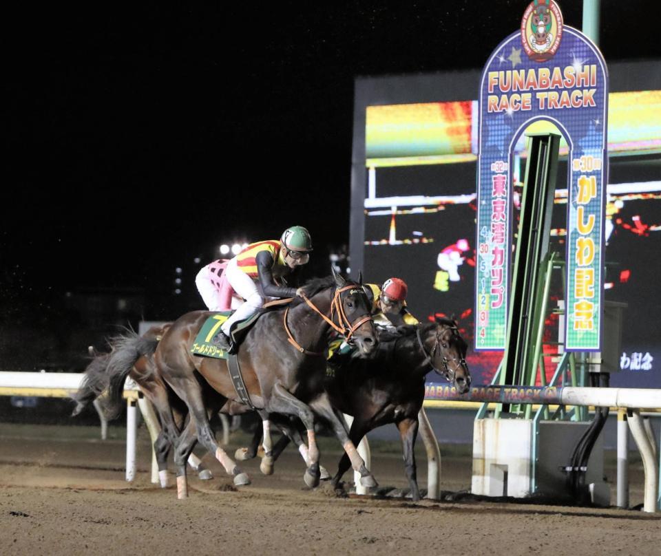 かしわ記念を制した７ゴールドドリーム（手前）