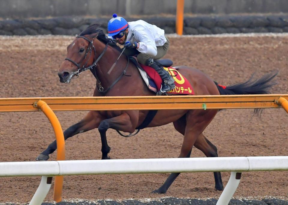 　栗東ＣＷで追い切るミスパンテール