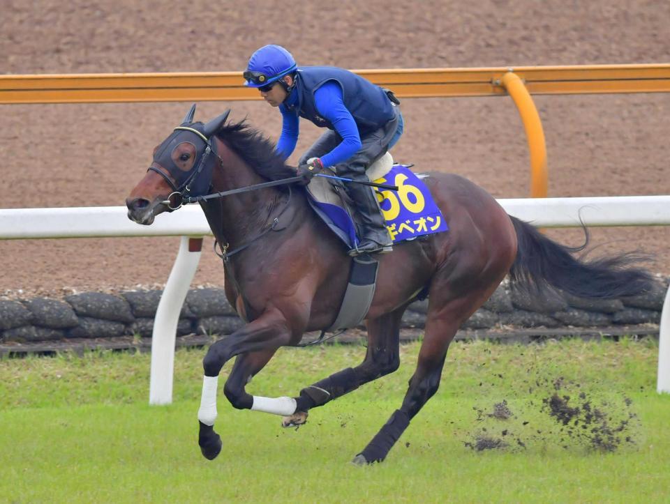 　栗東芝で最終リハを行ったギベオン