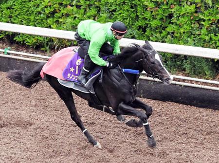 　１７年度の最優秀２歳牡馬で、４戦無敗のダノンプレミアム