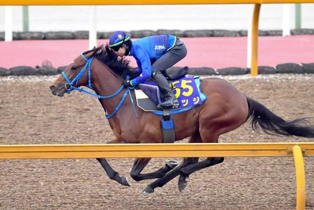 １枠１番となったカツジ