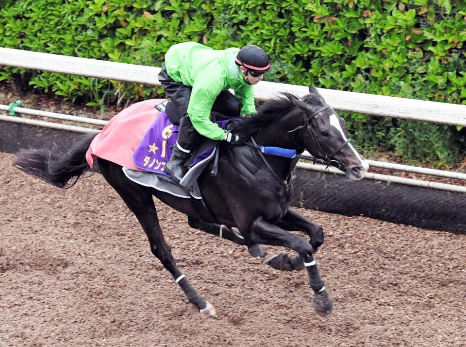 　１７年度の最優秀２歳牡馬で、４戦無敗のダノンプレミアム